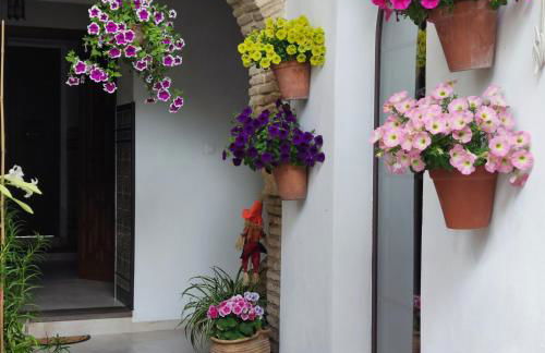 El patio de Regina - Foto 43