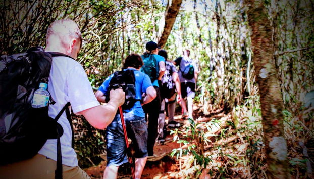 Walking along Tijuca's trails