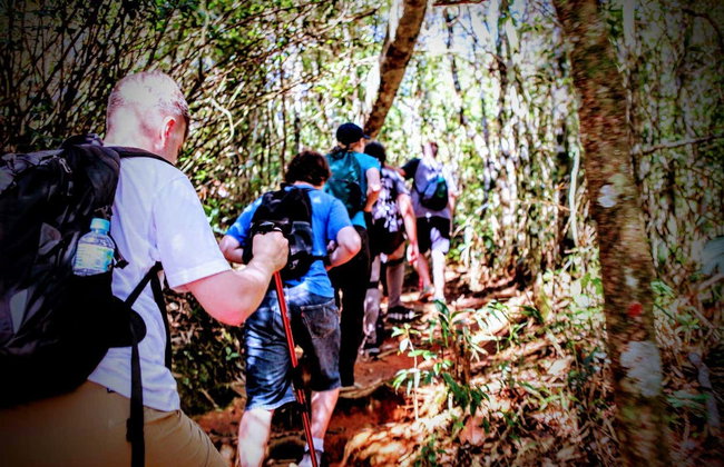Senderismo por el Parque Nacional de Tijuca - Foto 6