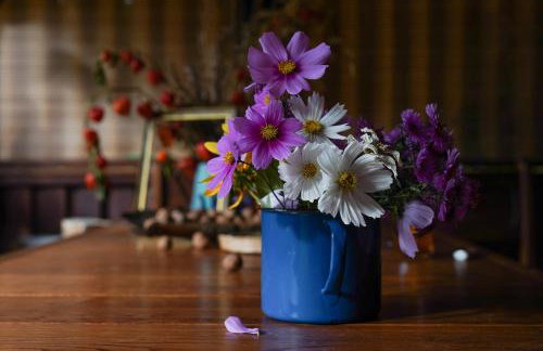 Siedlisko Otulenie - Photo 16