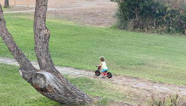 CASA MARE - Foto 3, Garden, Garden view