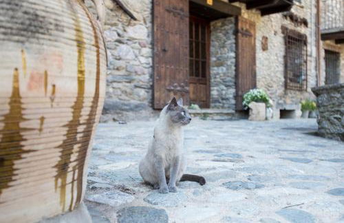 Can Criach - Photo 36