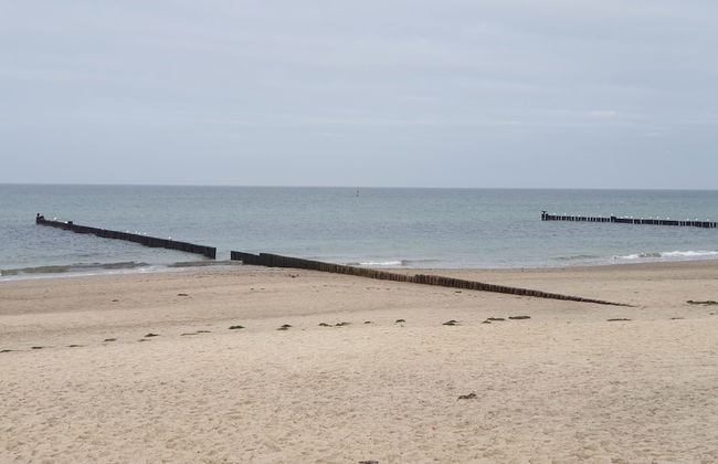 Seeseite 100m - Foto 21