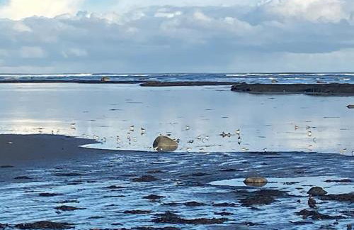 Fishermans House - Foto 20