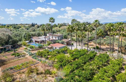 Ideal Property Mallorca - Can Tomeu - Foto 55