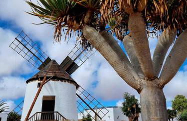 Casa del Mar Air-conditioned Apartment with Swimming Pools - Corralejo Playa - Photo 78