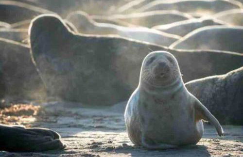 HOXNE HOUSE WEYBOURNE,N Coast sleeps 14 5 bedroom j72 - Photo 62