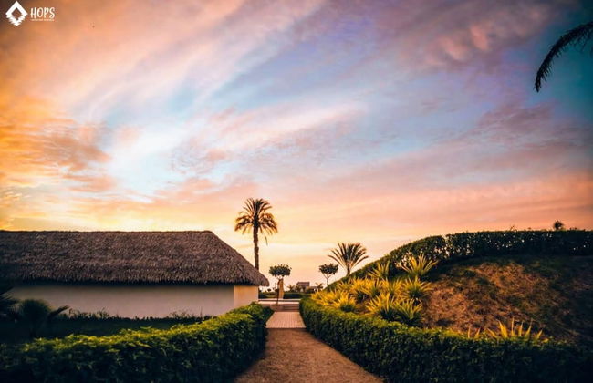 HOP Aruba Exclusiva Oasis y Playa en Chincha - Foto 24