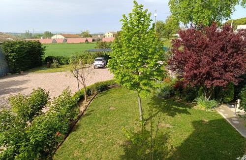 Morrovalle LOVE - Foto 17