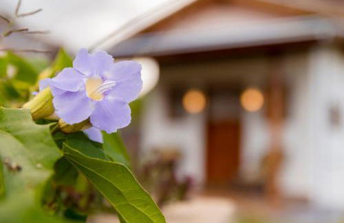 Chalés Ninho do Poeta - Foto 48