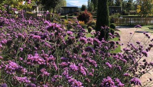 Green Village - Sirenetta - Foto 2, Garden view