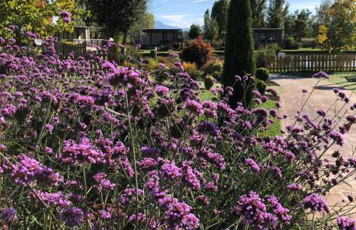 Green Village - Sirenetta - Foto 2