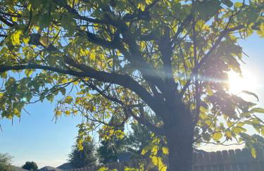 Urban Getaway - Foto 58