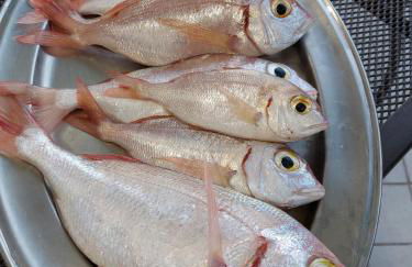 Appartamento LA COFFA (tecnica tradizionale di pesca locale) - Foto 35