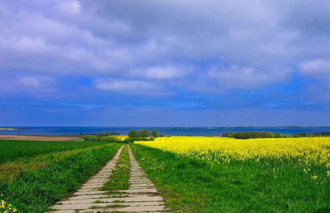 Schone Ferienwohnung in der Nahe der Ostsee - Photo 25