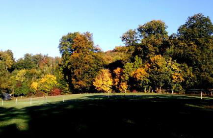 Ferienwohnung Das Fuchsrevier - Foto 19
