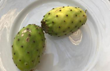 Mare Nostrum TF - Foto 45