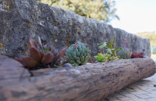 Pátio do Judeu - Foto 14