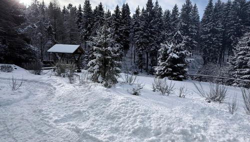 Ferienwohnungen Börnert am "Klingerbach" - Foto 3