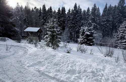 Ferienwohnungen Börnert am "Klingerbach" - Foto 3