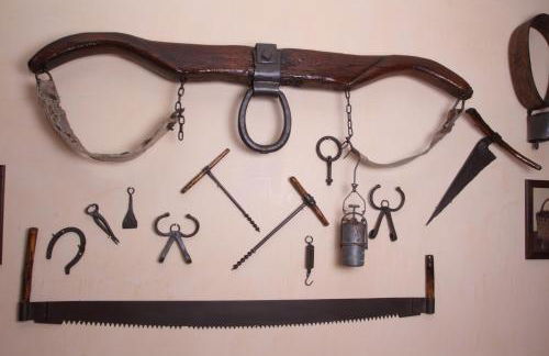 Azienda Agrituristica La Tenuta del Falco - Foto 19