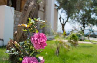 To Stolidi tis Psinthou - Foto 53