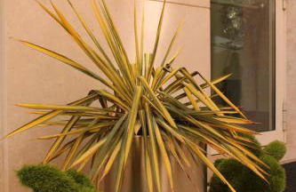 Residenza Agnello D'Oro - Foto 14