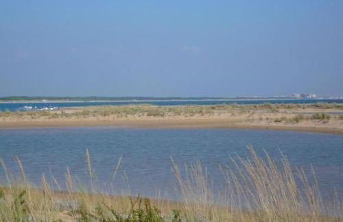 Holiday Home Nettes Ferienhaus in Altura mit Gepflegtem Garten by Interhome - Foto 44