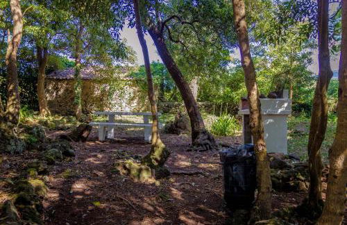 Casa do Norte (AL) - Photo 43