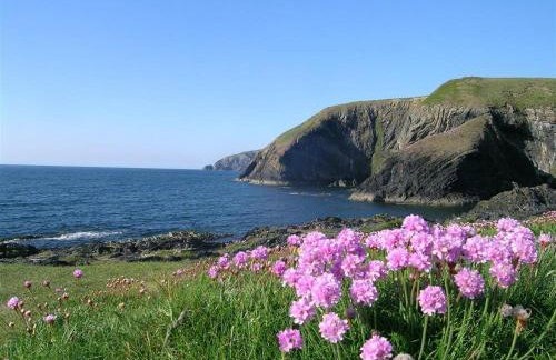 Stable Cottage - Foto 34