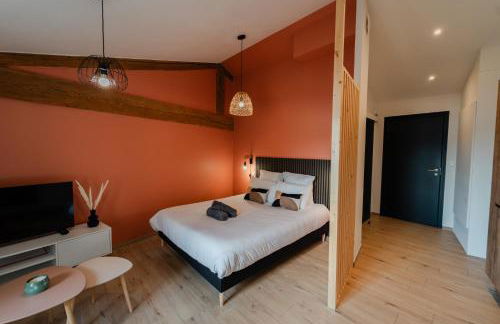 Vina Rhona - Studio de charme tout équipé entre Rhône et Vignobles de Condrieu - Foto 59