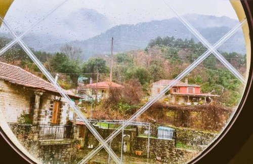 ΑΡΧΟΝΤΙΚΟ ΜΑΝΤΕΙΟ - Photo 21