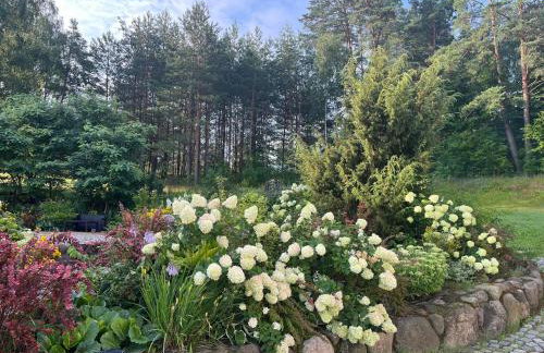 Drewniany Domek w Zakątku Andrzeje Śniczany 18 - Photo 45