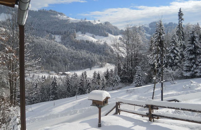 Chalet With Terrace in Niederndorf/kufstein - Photo 38