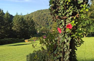 Il Bosco di Campo Marzano studios - Foto 50