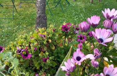 4keys House 4 - Photo 47