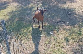 la casa di simone - Foto 4