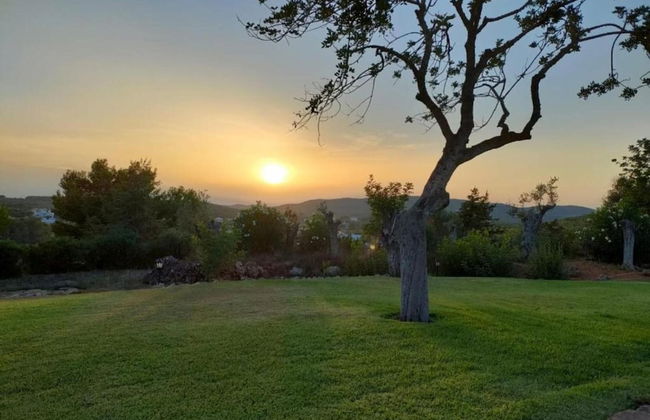 Holiday Home in Daverdisse With Garden - Photo 23