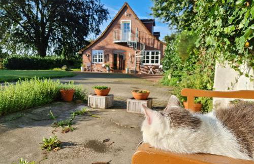 200 Jahre altes Landhaus mit Tieren - Foto 22