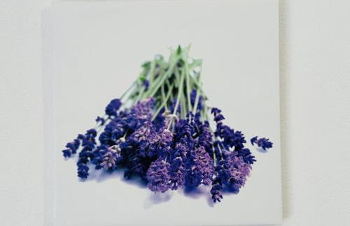 Ferienwohnungen Bachblick - Foto 47