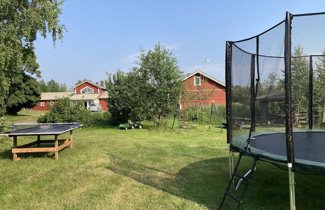 Karjalan Helmi - Foto 25