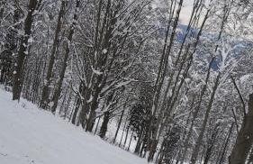 Buddy'S House Lake view Pet friendly whit garage - Foto 53