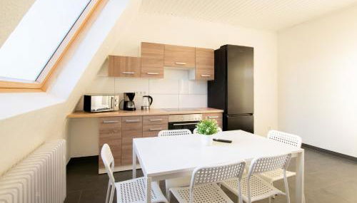 Tolstov Apartments - City Apartments with 2 , 3 and 6 Rooms - 15 Min to Messe DUS and Old Town DUS - Foto 4, stove, pet friendly, minibar