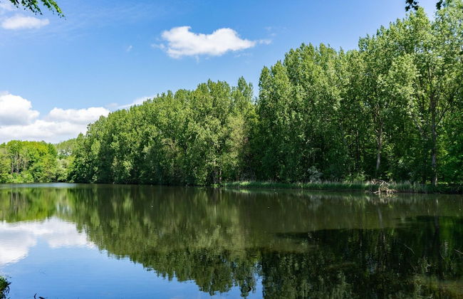 Colorful Chalet Near Amsterdam - Foto 25
