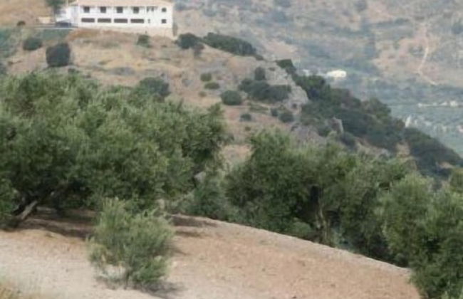 Los Castillarejos Apartamentos Rurales - Foto 44