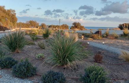 Beach front Villa Pasithea - Foto 17