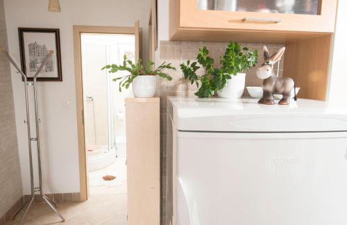 Apartment Alba - Photo 17