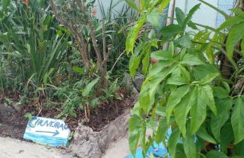 GRUTA da Praia 2 - Foto 10