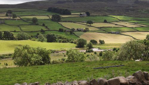 Crow Hall - Luxury Holiday Accommodation - Photo 3