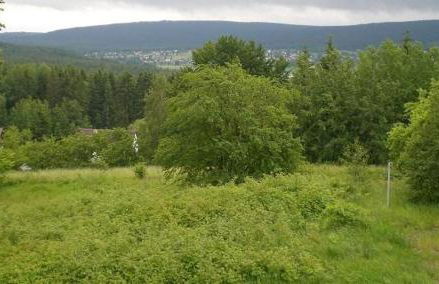 Ferienwohnung Fichtelwald - Foto 7